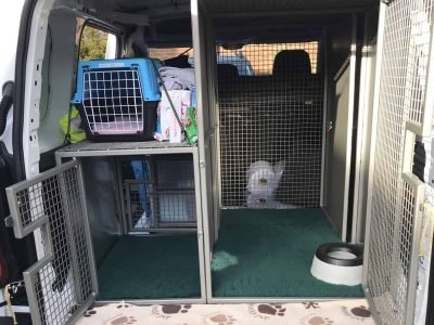 pet ambulance